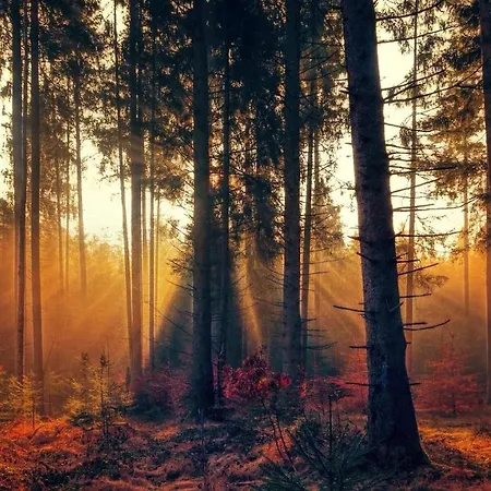 Kwatera prywatna Burnout Wildalps