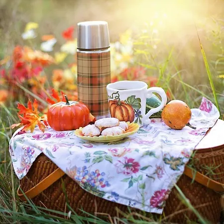 Burnout Wildalps Privatunterkunft Wildalpen