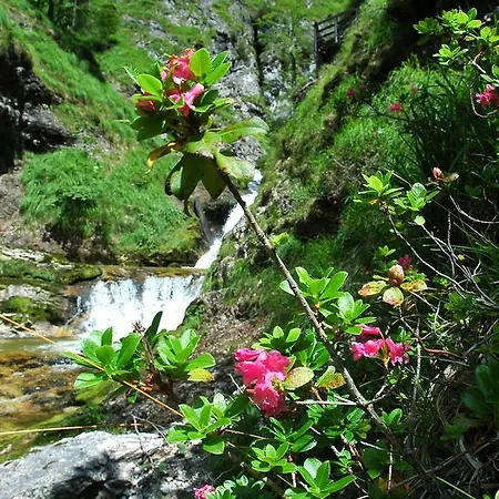 Privatunterkunft Burnout Wildalps Wildalpen