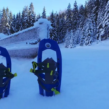 Kwatera prywatna Burnout Wildalps