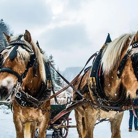 Privatunterkunft Burnout Wildalps Wildalpen