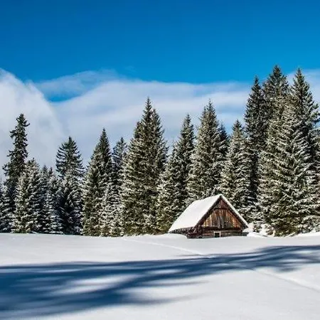 Burnout Wildalps Privatunterkunft