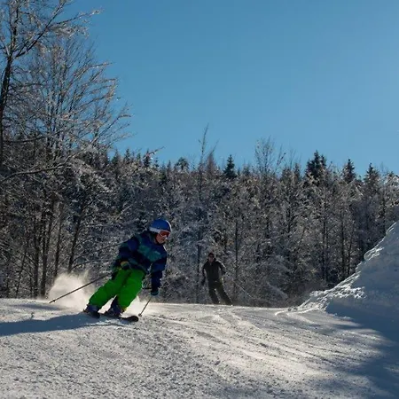 Burnout Wildalps Kwatera prywatna *