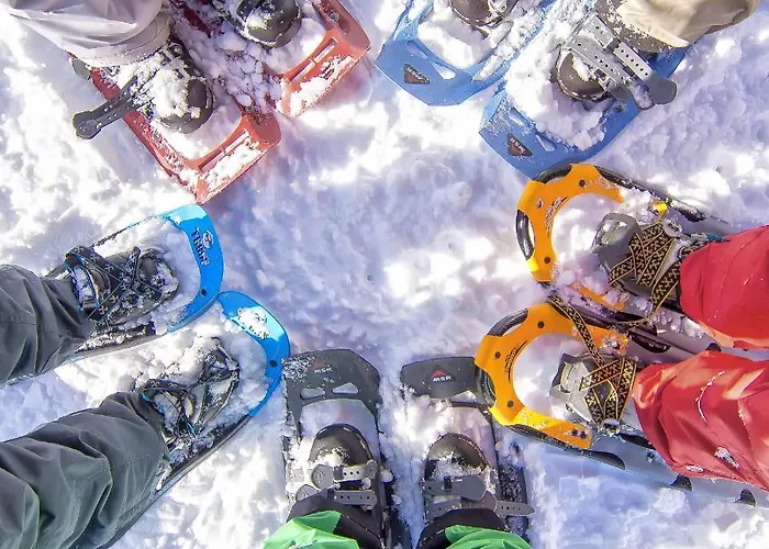 Accommodatie bij particulieren Burnout Wildalps