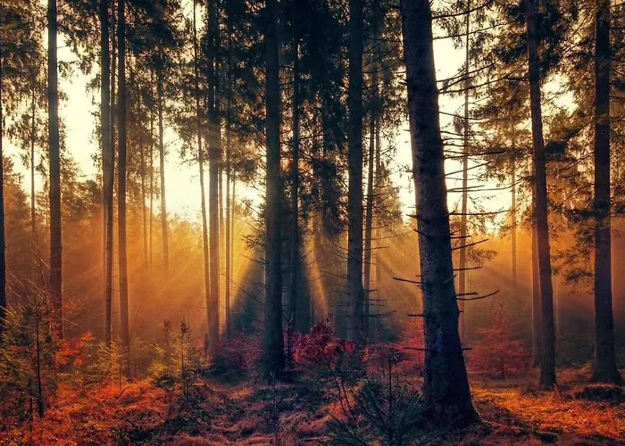 Accommodatie bij particulieren Burnout Wildalps