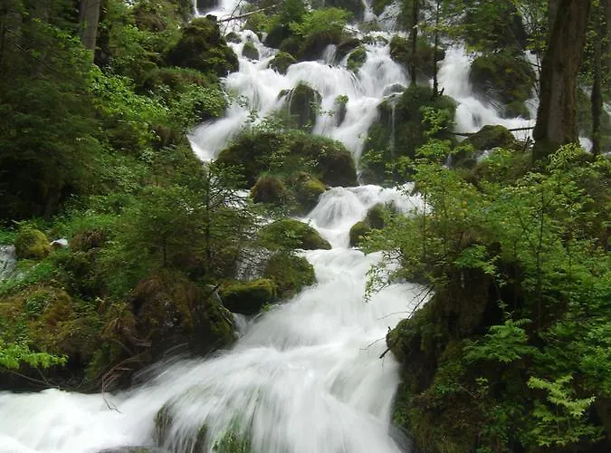 Ubytování v soukromí Burnout Wildalps *