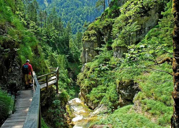 Burnout Wildalps * Wildalpen