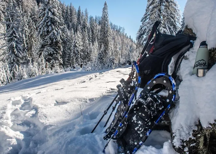 Ubytování v soukromí Burnout Wildalps Wildalpen