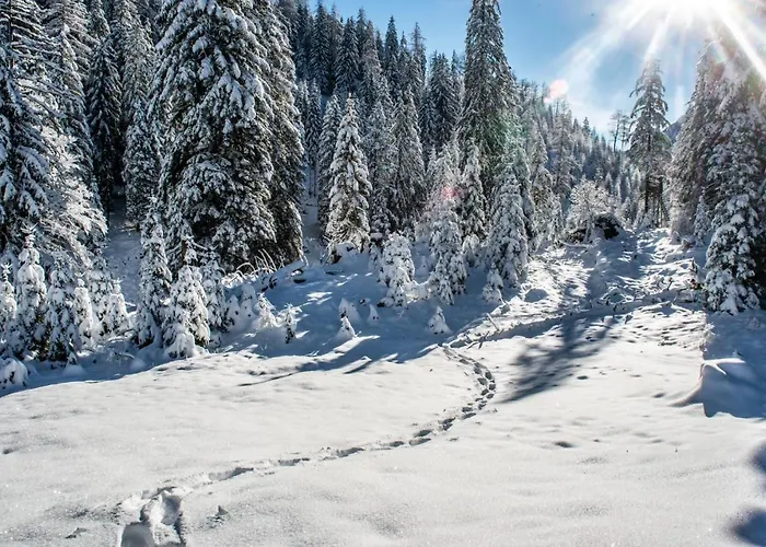 Burnout Wildalps Ubytování v soukromí *