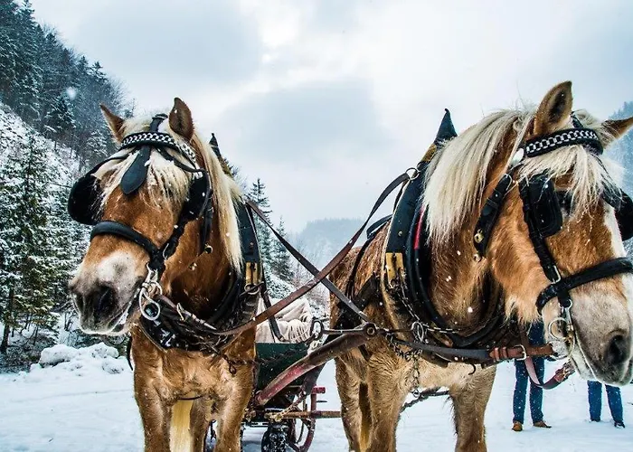 Ubytování v soukromí Burnout Wildalps Wildalpen