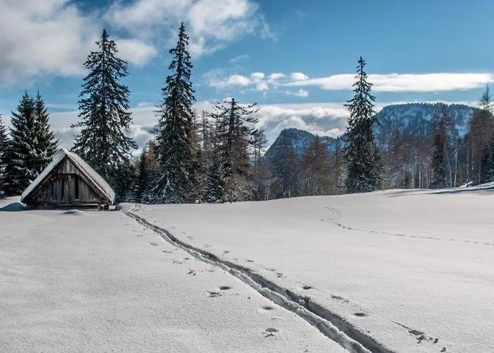 Burnout Wildalps Ubytování v soukromí *