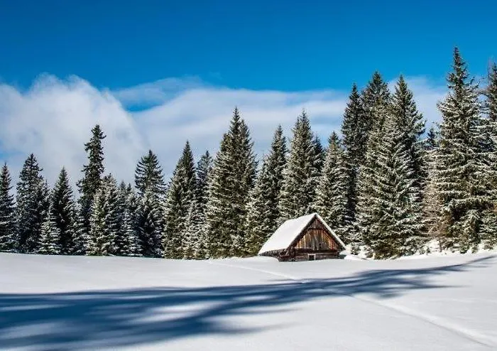 Burnout Wildalps Accommodatie bij particulieren