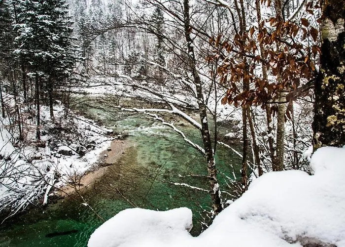 Burnout Wildalps * Wildalpen