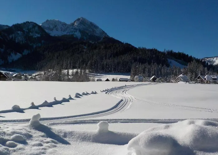 Accommodatie bij particulieren Burnout Wildalps