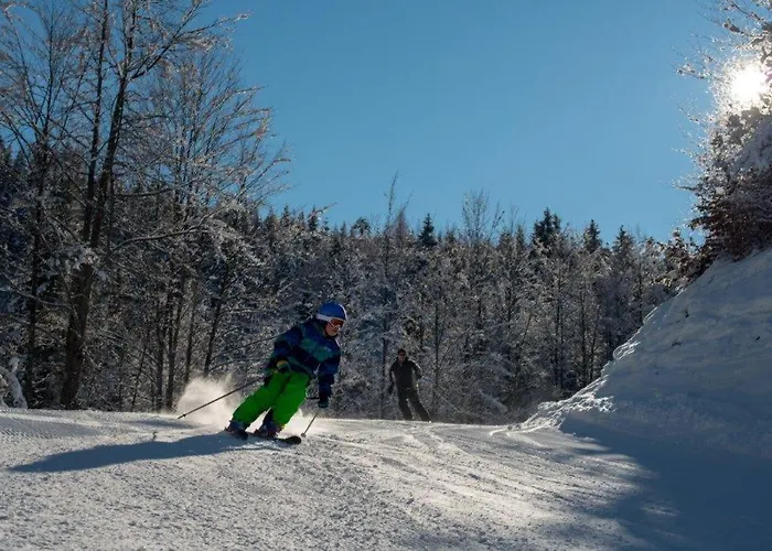 Burnout Wildalps Ubytování v soukromí *